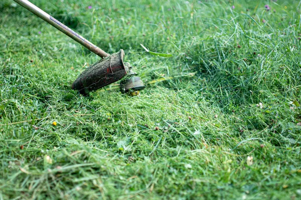 Gräsklippare Trimmer Gräsklippare Gräs Sommaren — Stockfoto