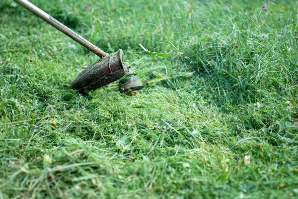 Falciatrice Tagliaerba Erba Estate — Foto Stock