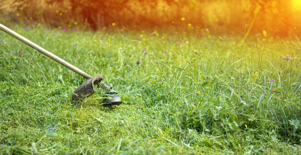 Maaimachine Trimmer Maait Gras Zomer — Stockfoto