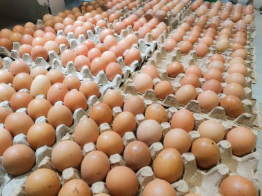 Yüksek açılı bir görüntü, karton bir tepside çok sayıda kahverengi yumurta yakalar, kümes hayvanları üretiminin boyutunu gösterir ve taze bir çiftliğin organik dokusuna bir bakış sunar..