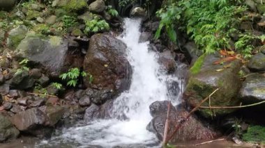 Huzurlu çağlayan görüntülerde canlı bir orman ortamının ortasında çağlayan küçük bir şelale görülüyor. Yosun ve yeşillikle kaplı kayalar doğal ve huzurlu bir ortam yaratır..