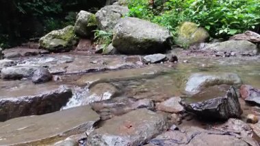 Serin bir dere yosunlu kayaların ve yemyeşil yeşilliklerin arasında bereketli bir doğal ortamda zarifçe akar. Kristal berrak su şelaleleri huzur ve huzur dolu bir manzara yaratır..