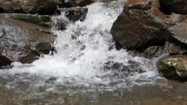 Nehir kayalık arazide hızlı ve temiz bir şekilde akar, sakin ve güzel bir manzara yaratır. Rahatlamak ve doğanın tadını çıkarmak için mükemmel..