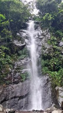 Doğanın güzelliğine tanık olun. Bu büyüleyici videoda, yemyeşil yapraklarla çevrili kayalık bir uçurumdan dökülen şelale görüntüsü var. Güzel bir manzarada huzur ve sükuneti hissedin..