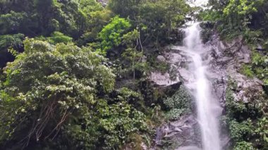 Canlı yeşillikler arasında sakin bir şelalenin güzelliğini hissedin. Bu video, doğanın senfonisinin özünü yakalar ve kayalık bir uçurumdan dökülen güzel bir su manzarasını gözler önüne serer..