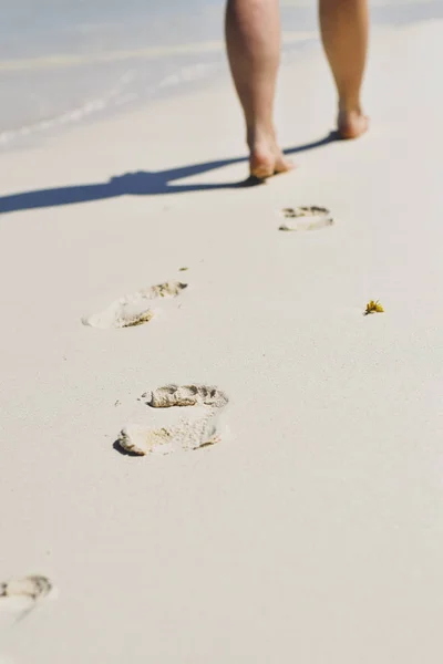 Vrouwenvoeten lopend op zandstrand Stockafbeelding