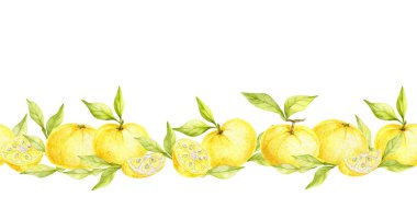 Sarı yuzu meyvelerinin yatay sınırı. Suluboya resimde taze yeşil yapraklar var. Elleri pürüzsüz. Kumaş sınırları, kırtasiye, mutfak sanatı ve ürün ambalajı için mükemmel.