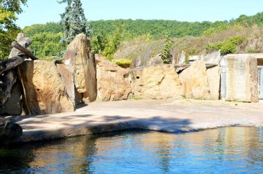 Cape Town Hayvanat Bahçesi 'ndeki park manzarası