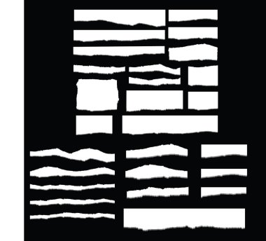 Süslü Çiçek Tasarımı. Zarif, kıvrımlı yapraklar ve karmaşık detaylar içeren klasik bir siyah-beyaz çiçek tasarımı. Dekoratif sınırlarda ve logolarda kullanmak için mükemmel