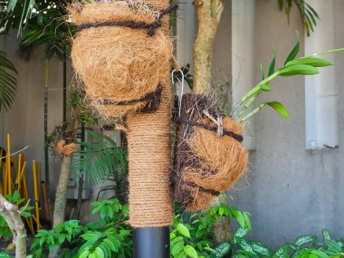 Yapay zeka. Dekoratif bir düzenleme, Hindistan cevizi fiber bitkilerini iple sarmalanmış bir direğe asar, yeşil yeşil yapraklar ve tropikal bitkilerin arasına yerleştirir, kırsal ve doğal bir bahçe oluşturur.