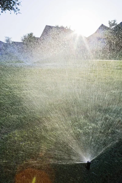 Sprinklers Gräsmattan Mckinney Land Texas Usa — Stockfoto