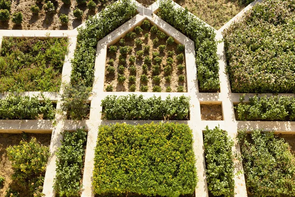 Modello Del Giardino Del Forte Dell Ambra Jaipur Rajasthan India — Foto Stock