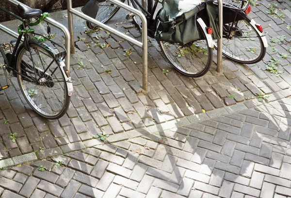 Fahrräder Ablagen Der Stadtstraße Abgestellt — Stockfoto