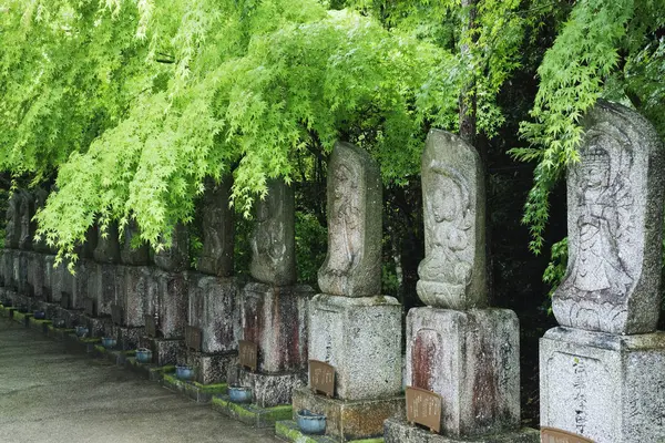 Fila Ídolos Estatuarios Espirituales Isla Miyajima Prefectura Hiroshima Japón —  Fotos de Stock