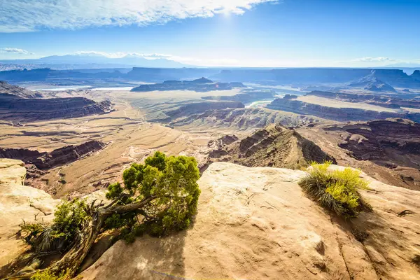 Aerial View Horseshoe Bend Canyonlands Utah United States — Stock Photo, Image