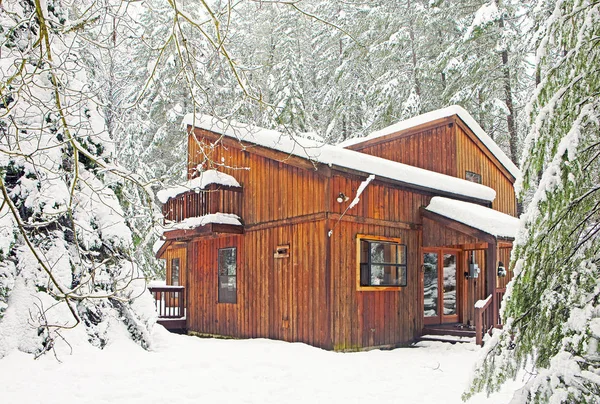 Moderne Houten Hut Besneeuwde Bos Met Besneeuwde Bomen — Stockfoto