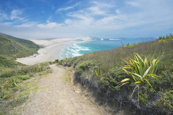 海岸沿いの丘陵地帯の泥道 ウェラヒ ケープ レイガ ニュージーランド — ストック写真