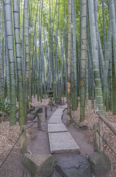Stenskulptur Bambu Skog Kamakura Japan — Stockfoto