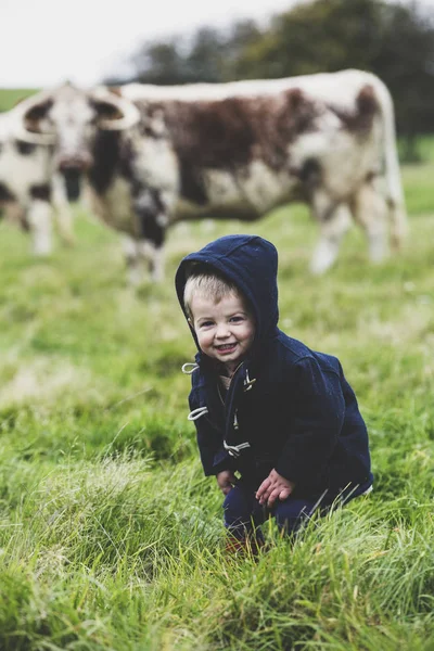 Niño Pequeño Pie Pasto Con Vacas Longhorn Inglés Fondo —  Fotos de Stock