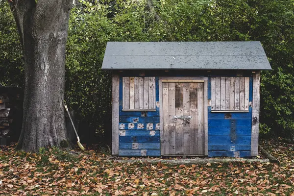 Außenansicht Eines Holzschuppens Mit Blauen Wänden Garten Herbstlaub Auf Dem — Stockfoto