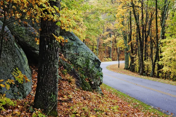 Дорога Через Осенний Лес Огромными Камнями Лесу — стоковое фото