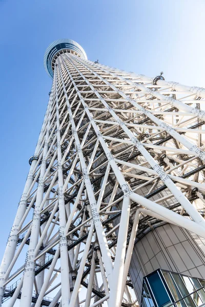 東京スカイツリーの枠組みの低角図 — ストック写真