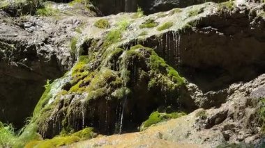 Su, doğal ortamda yosun kaplı kayaların üzerinden akar. Canlı yeşillik ve nazik çağlayan su doğanın süreçlerinin güzelliğini gözler önüne seren sakin bir manzara yaratır..