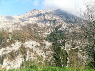 The Mount Faito, dominates Castellammare di Stabia clipart