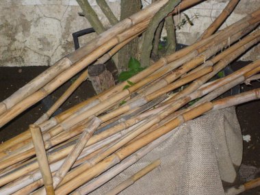 Geceleri fotoğraflarını yaygın reed kaynaklanıyor