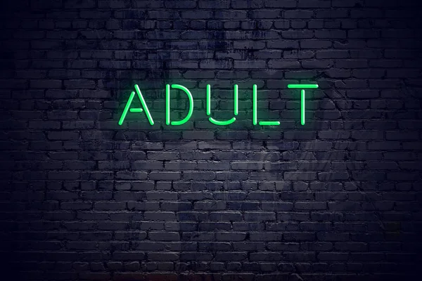 Brick wall at night with neon sign adult