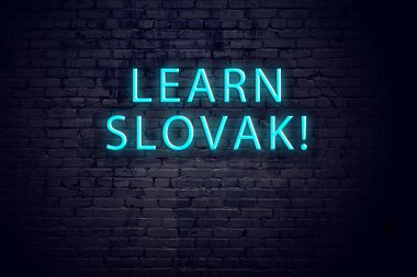 Tuğla duvar ve yazıtlı neon işareti. Slovakça öğrenme kavramı