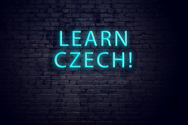 Tuğla duvar ve yazıtlı neon işareti. Çekçe öğrenme kavramı