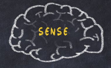 Yazıt duygusu ile insan beyninin tebeşir çizimi