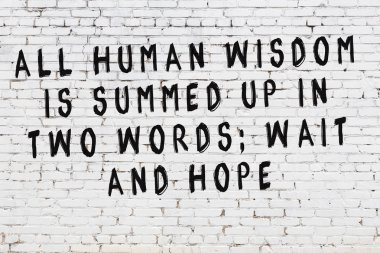 Boyalı siyah motivasyonel alıntı yazıtı ile beyaz tuğla duvar