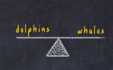 Ölçeklerin tebeşir tahtası krokisi. Yunuslar ve balinalar arasındaki denge kavramı