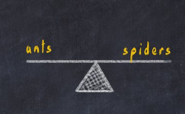 Pullar, tebeşir tahtası çizimi. Karıncalar ve örümcekler arasındaki denge kavramı