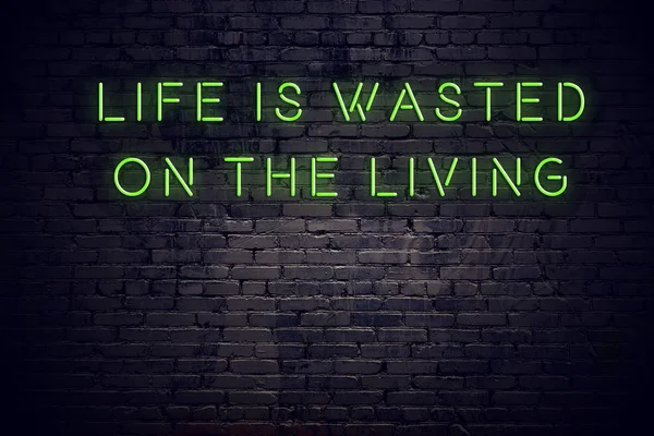 Neon inscription of positive wise quote against brick wall — Stock Photo, Image