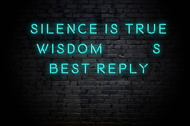 Tuğla duvara karşı olumlu akıllıca motivasyonel alıntı Neon yazıt 