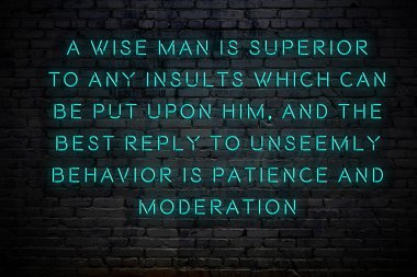 Tuğla duvara karşı olumlu akıllıca motivasyonel alıntı Neon yazıt 