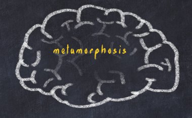 Drawind of human brain on chalkboard with inscription metamorphosis clipart