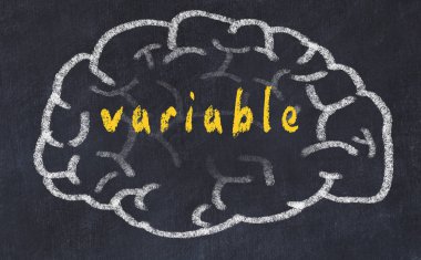 Yazıt değişkeni ile tebeşir tahtası üzerinde insan beyninin Drawind