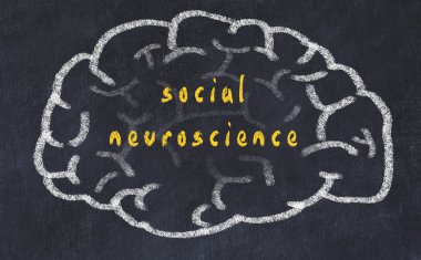 Yazıt sosyal nöroloji ile tebeşir üzerinde insan beyninin Drawind