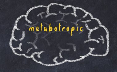 Yazıt metabotropic ile tebeşir üzerinde insan beyninin Drawind