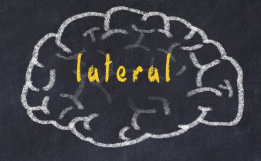 Yazıt lateral ile tebeşir üzerinde insan beyninin Drawind