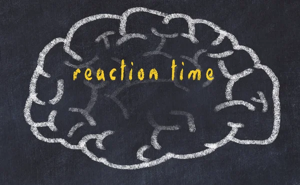Drawind του ανθρώπινου εγκεφάλου στον πίνακα με χρόνο αντίδρασης επιγραφή — Φωτογραφία Αρχείου