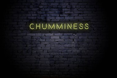 Highlighted brick wall with neon inscription chumminess