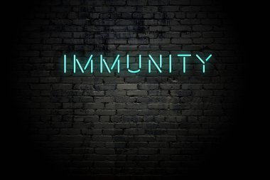Neon yazıt dokunulmazlığı ile vurgulanmış tuğla duvar