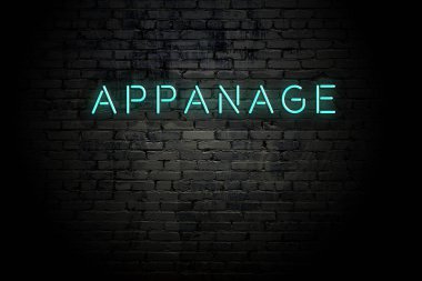 Neon yazıt aparatı ile vurgulanmış tuğla duvar