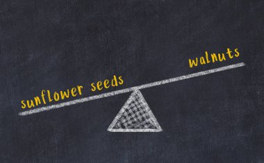 Tebeşir tahtası çizimi. Ceviz ve ayçekirdeği arasındaki denge kavramı