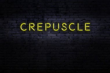 Duvardaki yazıtlı neon tabelanın gece görüşü